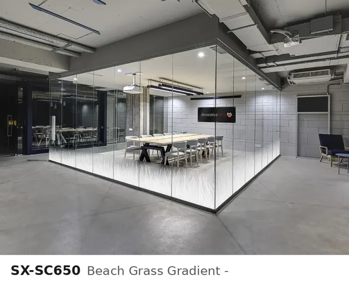 SX SC650 beach grass gradient