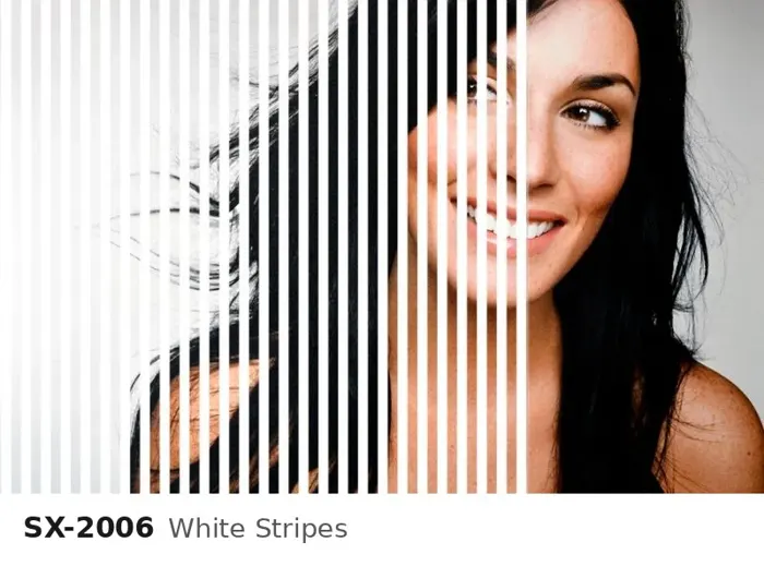 SX 2006 white stripes