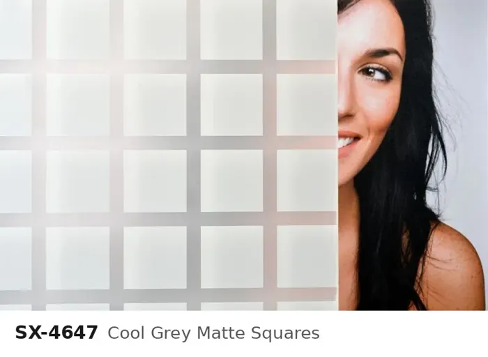 SX 4647 cool grey matte squares