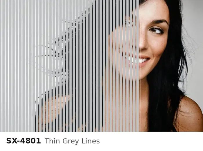 SX 4801 thin grey lines