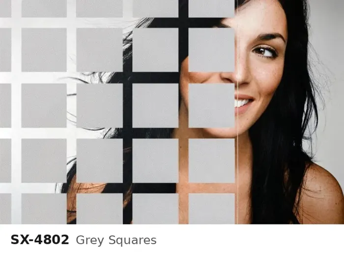 SX 4802 grey squares