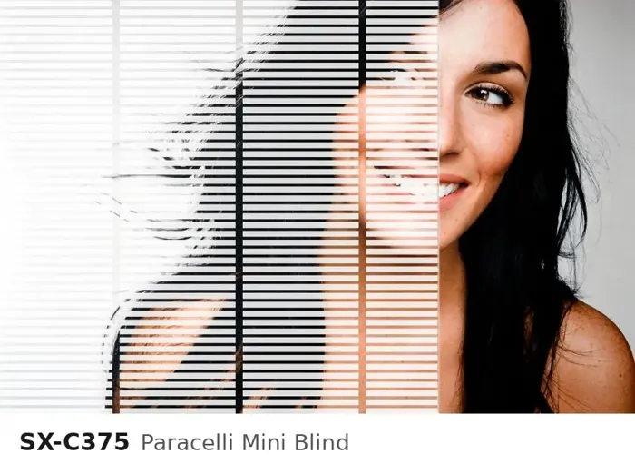 SX C375 paracelli mini blind