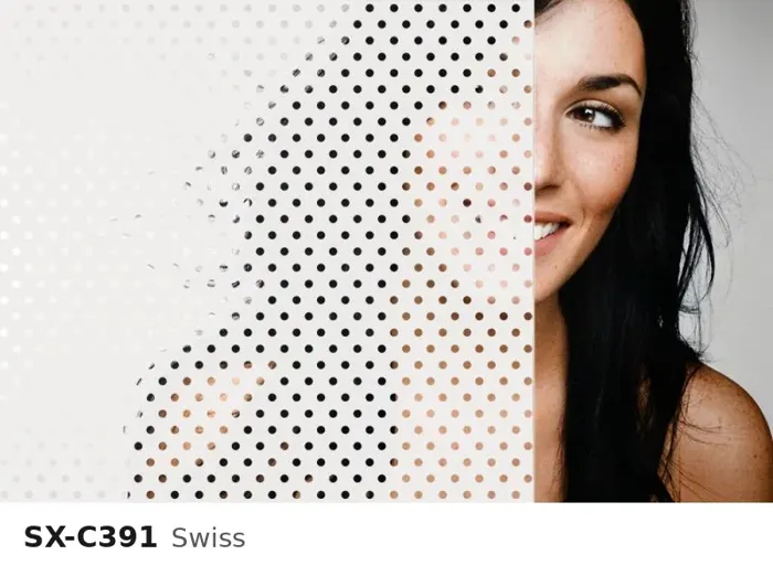 SX C391 swiss