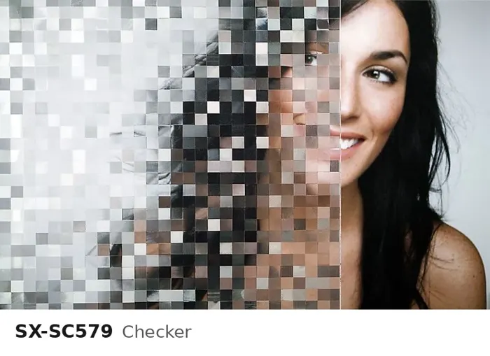 SX SC579 checker