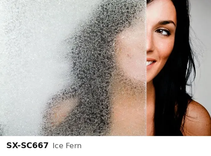 SX SC667 ice fern