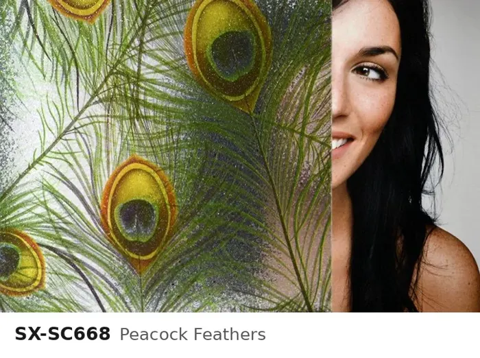 SX SC668 peacock feathers