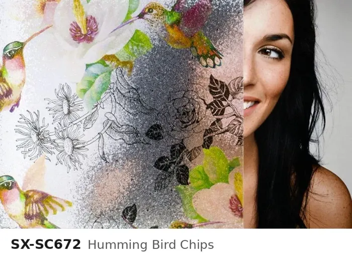 SX SC672 humming bird chips