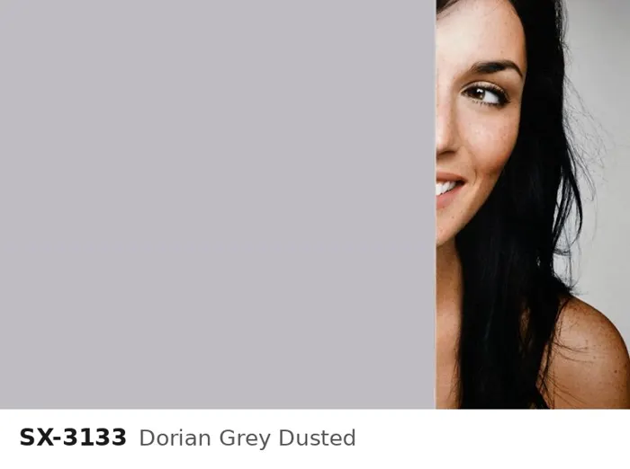 SX 3133 dorian grey dusted