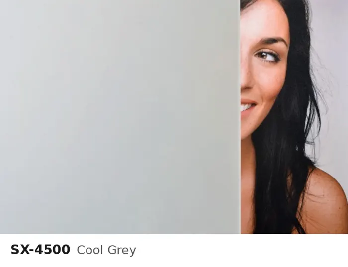 SX 4500 cool grey