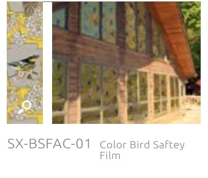 SX BSFAC color bird saftey