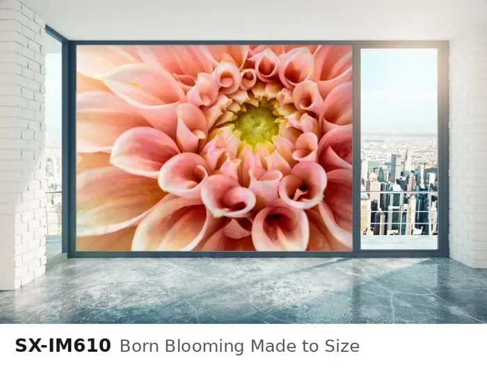 SX IM610 born blooming made to size