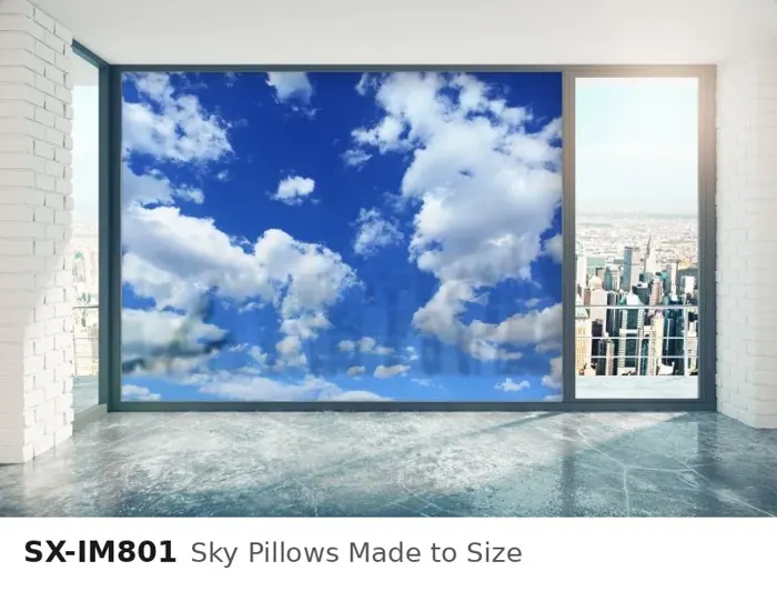 SX IM801 sky pillows made to size