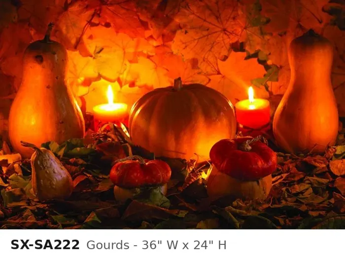 SX SA222 gourds 36 w x 24 h