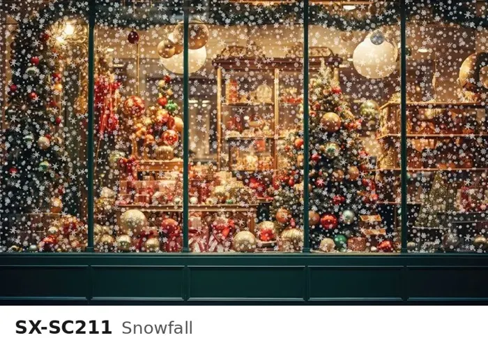 SX SC211 snowfall