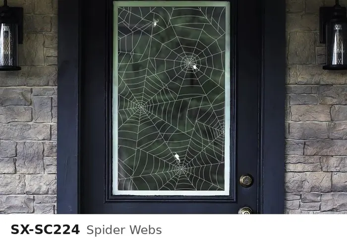 SX SC224 spider webs