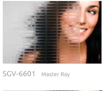 SGV 6601 master ray