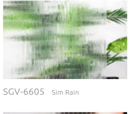 SGV 6605 sim rain